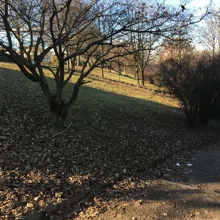 Green Park 2 Mansardato Con Box Auto In Loco *